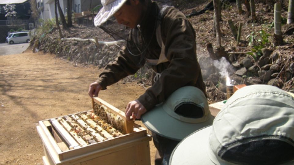 株式会社ミネックの養蜂事業